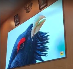 P1.8 Videotron Indoor Per MÂ²